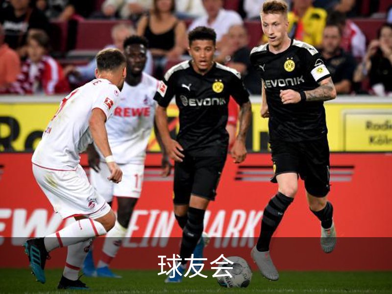球友会简介
